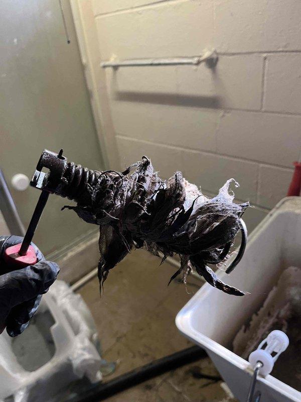 Responded to service call for clogged basement drains. Used power auger to clear severe blockage in floor drain, removing substantial accumulation of hair and debris that had completely obstructed the drain line. Successfully restored proper drainage functionality to the basement plumbing system.