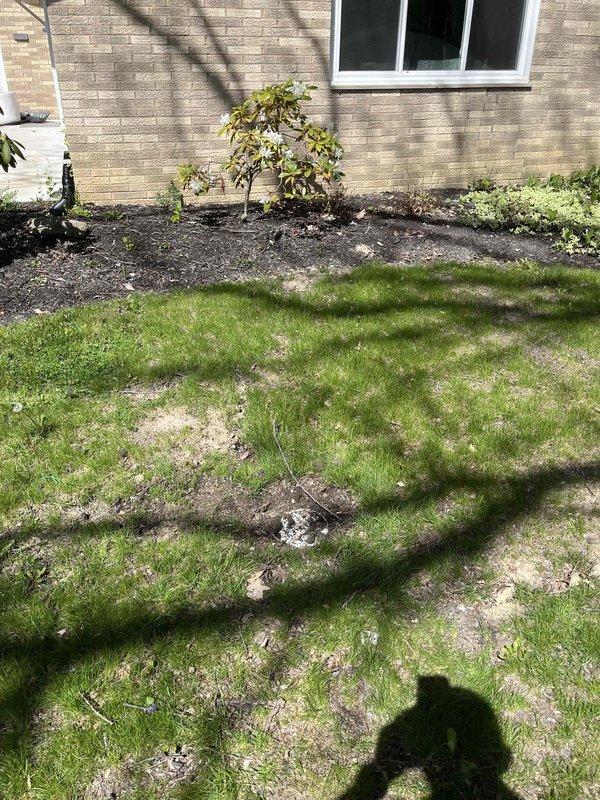 Performed sewer line camera inspection on 1969-built residential property using exterior clean-out access point located in front yard. Utilized electronic locating equipment to map underground plumbing infrastructure and assess condition of main sewer line. Inspection revealed current status of drainage system, with documentation captured for property records and future reference.