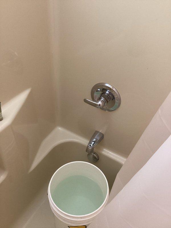 Responded to warranty callback for recurring growth in toilet. Upon inspection, identified persistent biological buildup requiring further adjustment to water chemistry or fixture components. Documented current bathroom conditions including tub/shower surround and vanity area for warranty records.