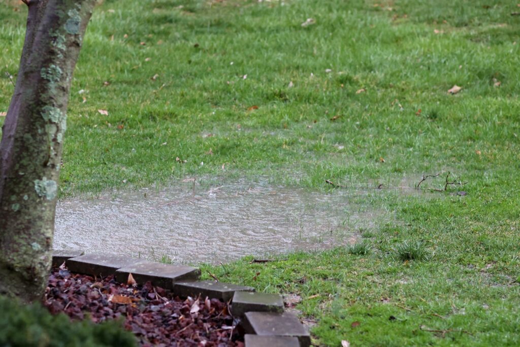 Sewage Backups, Slow Drains, or Lawn Sinkholes? Here’s What They Might Be Telling You About Your Sewer Line